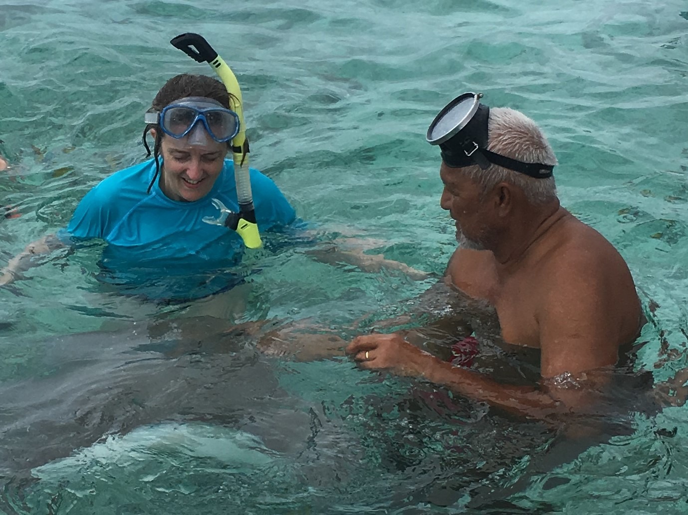 Bora Bora swimming with sharks and rays